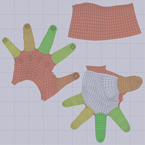 Hand texture UV